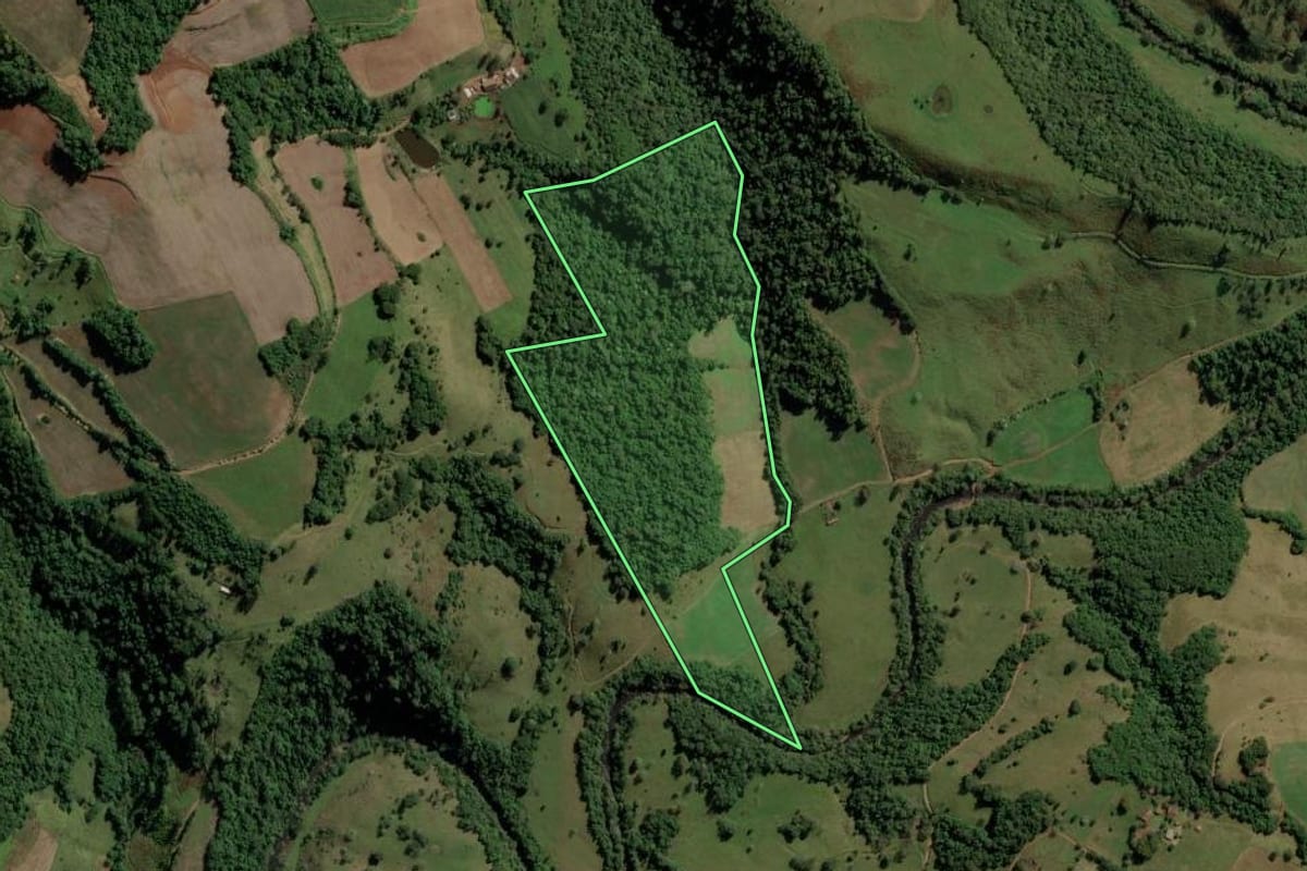 Imagem de satélite do imóvel rural em Palma Sola (SC), com o contorno declarado no CAR desenhado por cima.