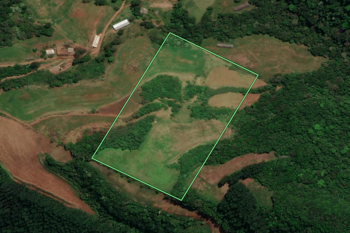 Imagem de satélite do imóvel rural em Palma Sola (SC), com o contorno declarado no CAR desenhado por cima.