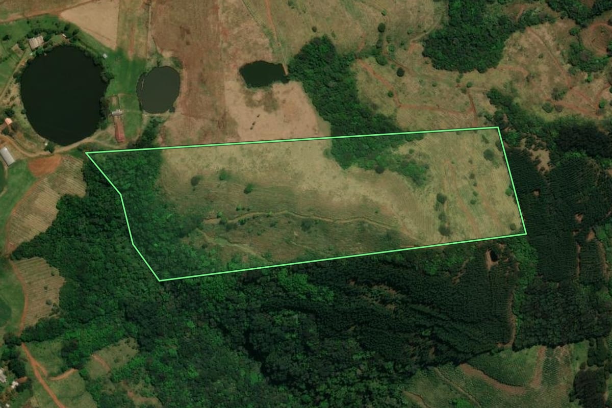 Imagem de satélite do imóvel rural em Palma Sola (SC), com o contorno declarado no CAR desenhado por cima.