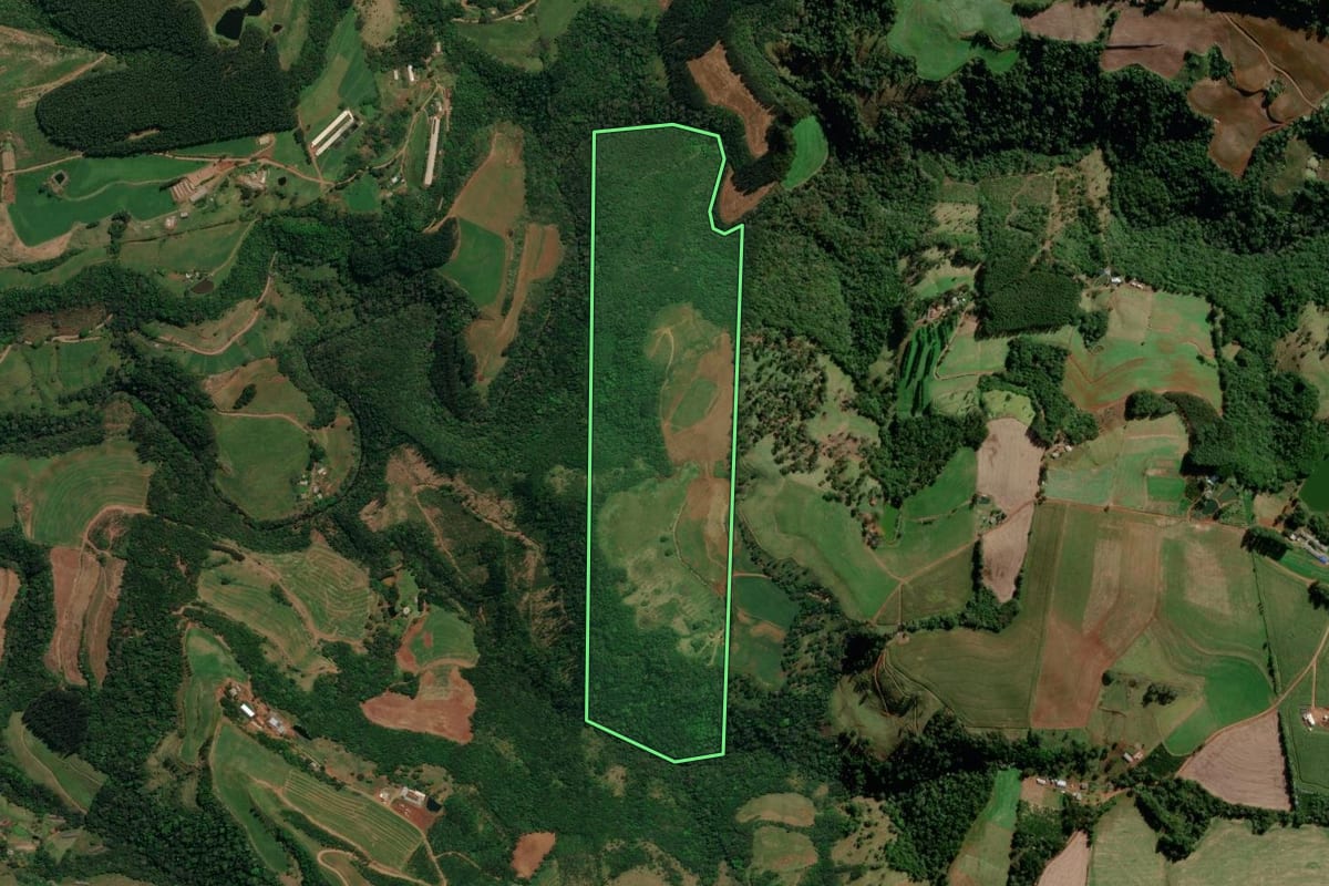 Imagem de satélite do imóvel rural em Palma Sola (SC), com o contorno declarado no CAR desenhado por cima.