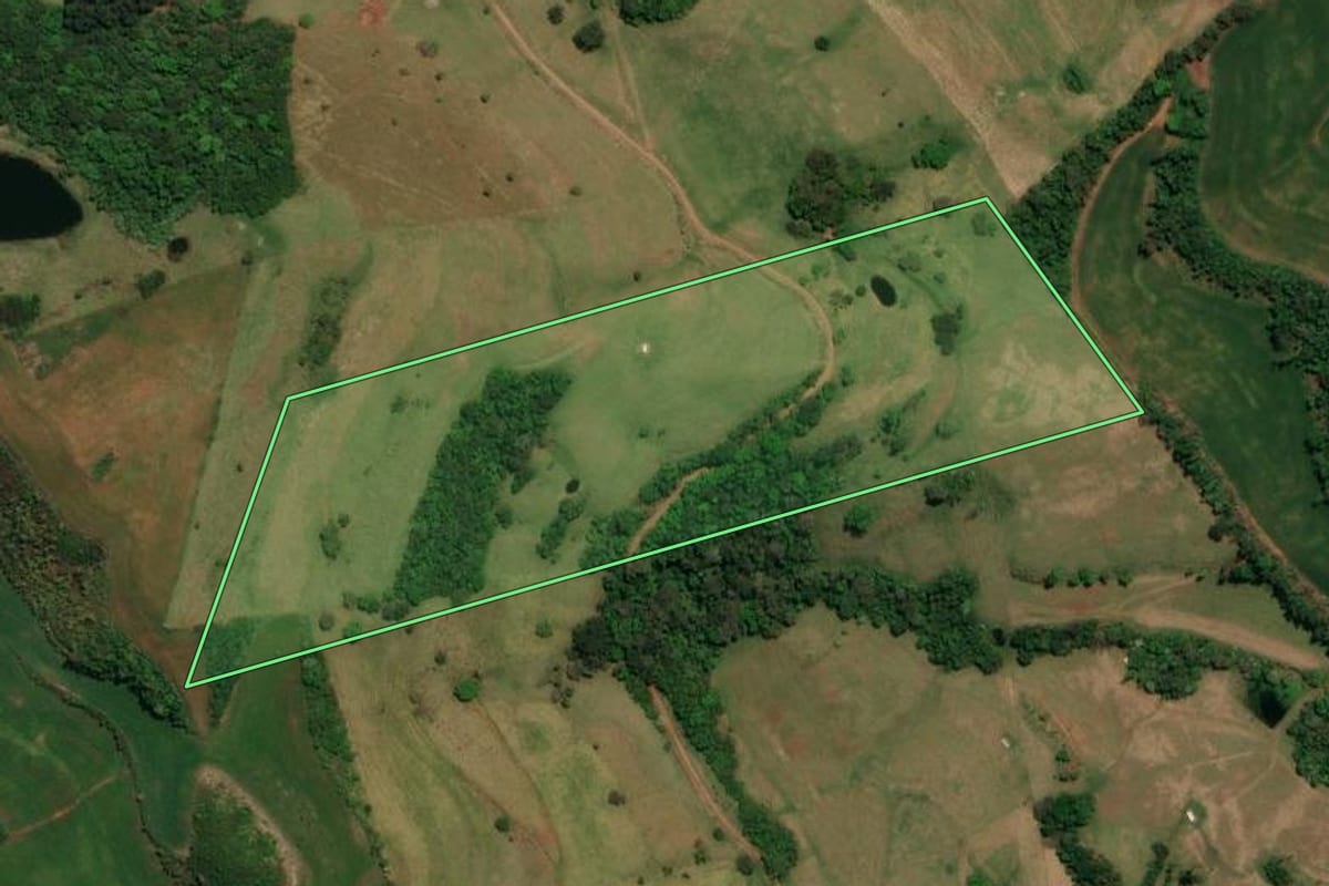 Imagem de satélite do imóvel rural em Palma Sola (SC), com o contorno declarado no CAR desenhado por cima.