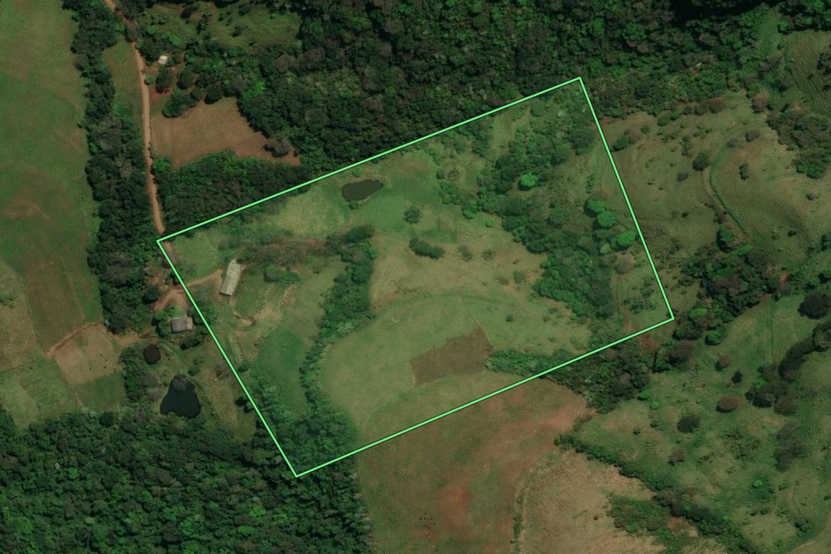 Imagem de satélite do imóvel rural em Palma Sola (SC), com o contorno declarado no CAR desenhado por cima.