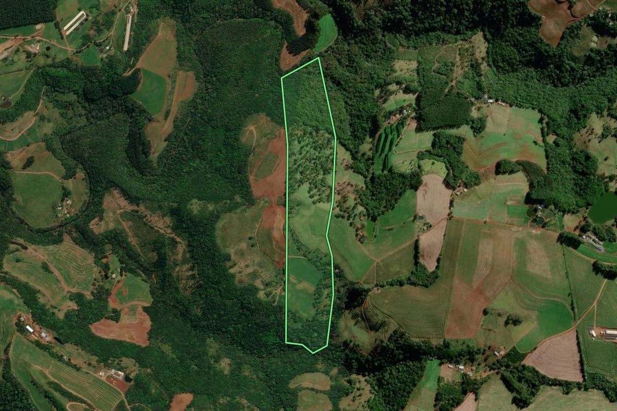 Imagem de satélite do imóvel rural em Palma Sola (SC), com o contorno declarado no CAR desenhado por cima.