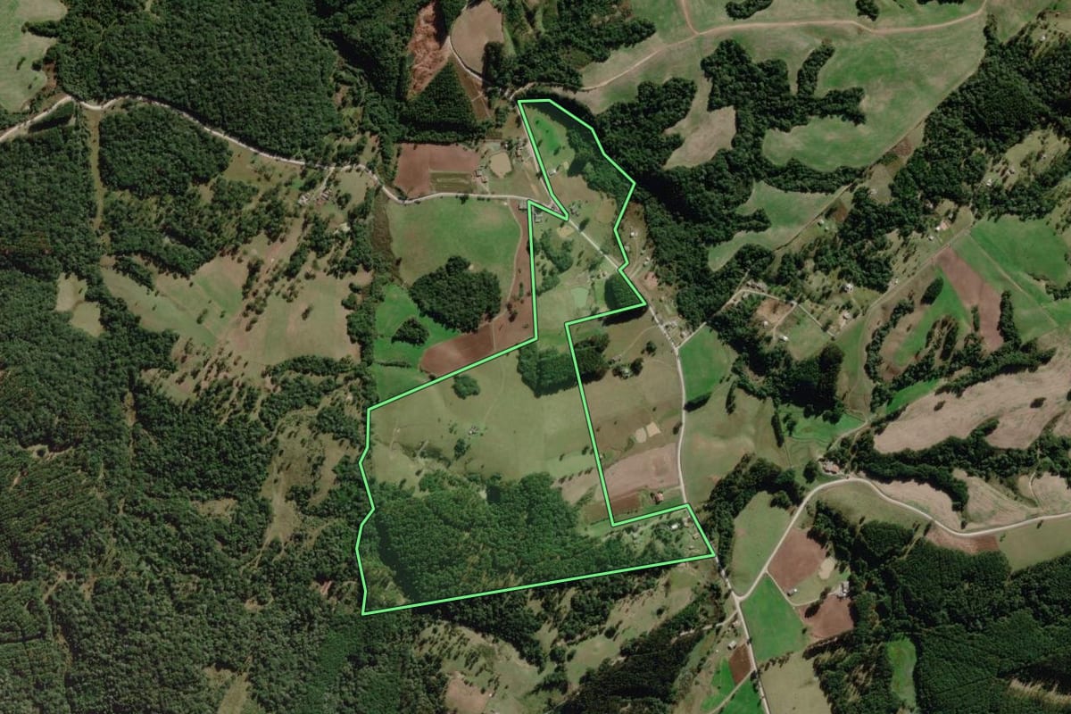 Imagem de satélite do imóvel rural em Palmeira (SC), com o contorno declarado no CAR desenhado por cima.
