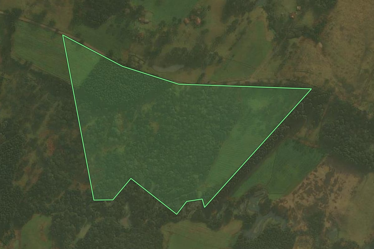 Imagem de satélite do imóvel rural em Palmeira (SC), com o contorno declarado no CAR desenhado por cima.