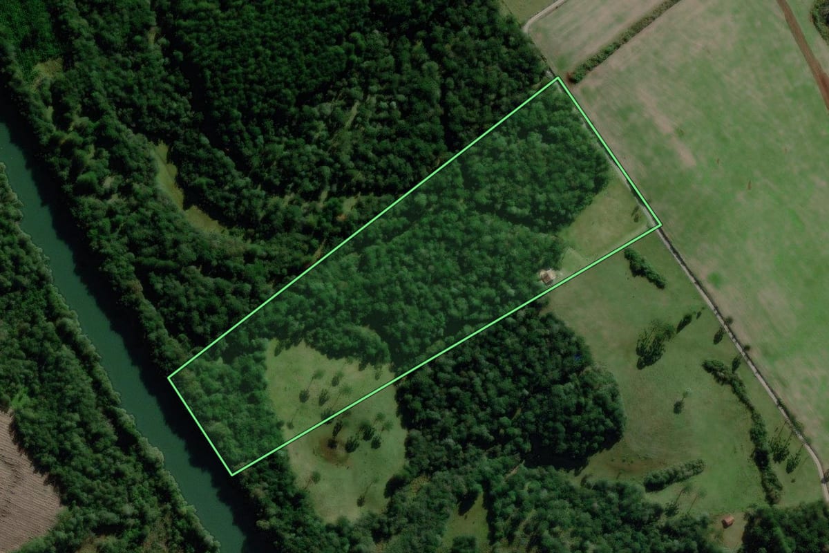 Imagem de satélite do imóvel rural em Palmeira (SC), com o contorno declarado no CAR desenhado por cima.