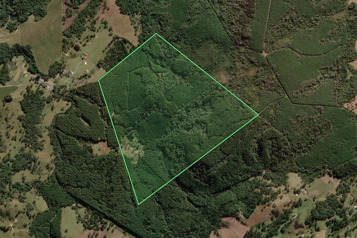 Imagem de satélite do imóvel rural em Palmeira (SC), com o contorno declarado no CAR desenhado por cima.