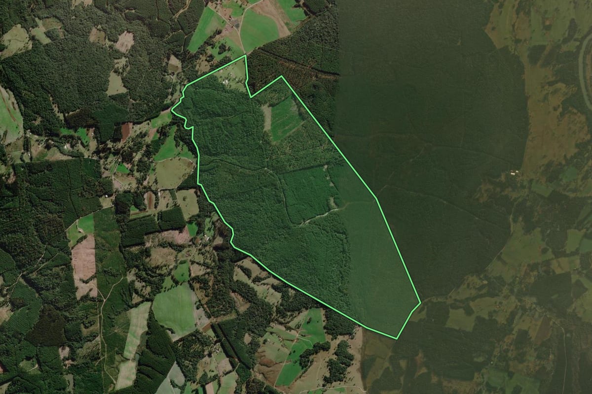 Imagem de satélite do imóvel rural em Palmeira (SC), com o contorno declarado no CAR desenhado por cima.