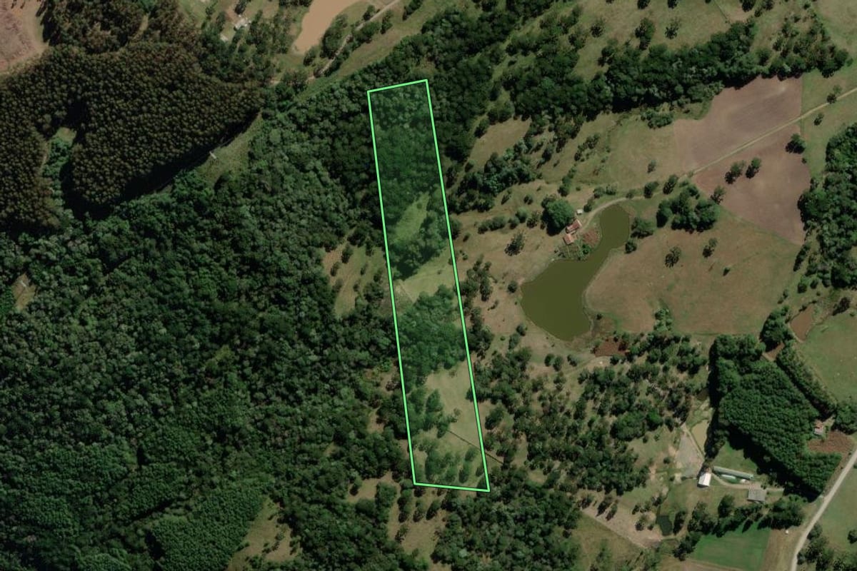 Imagem de satélite do imóvel rural em Palmeira (SC), com o contorno declarado no CAR desenhado por cima.