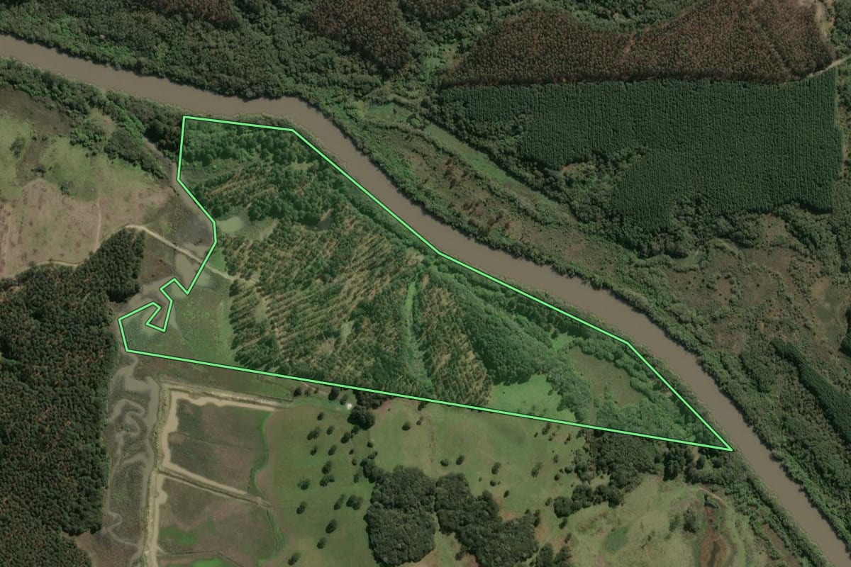 Imagem de satélite do imóvel rural em Palmeira (SC), com o contorno declarado no CAR desenhado por cima.