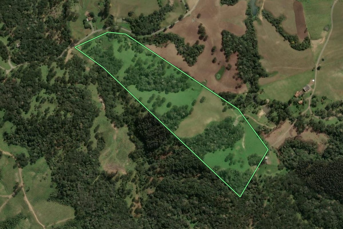 Imagem de satélite do imóvel rural em Palmeira (SC), com o contorno declarado no CAR desenhado por cima.