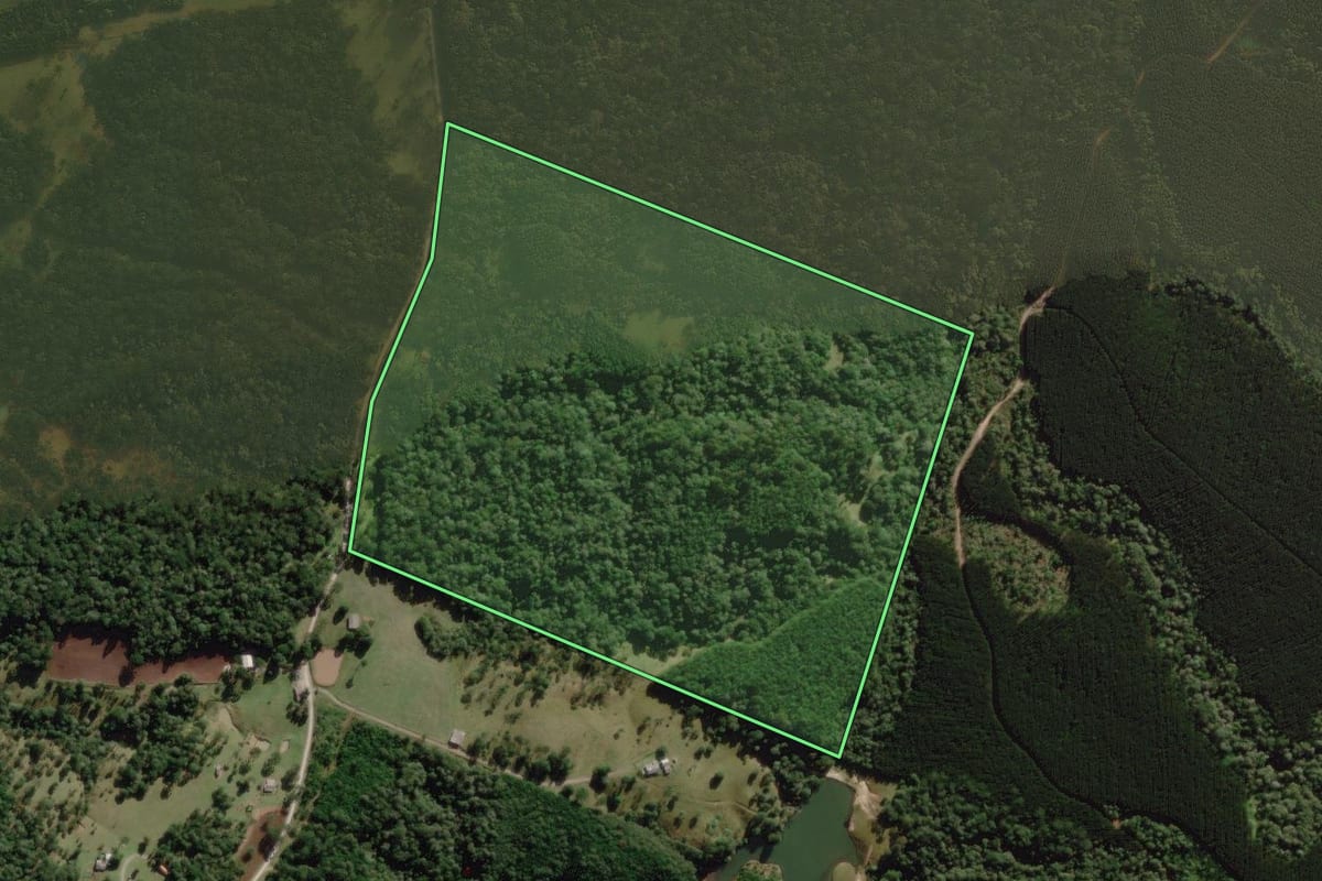 Imagem de satélite do imóvel rural em Palmeira (SC), com o contorno declarado no CAR desenhado por cima.