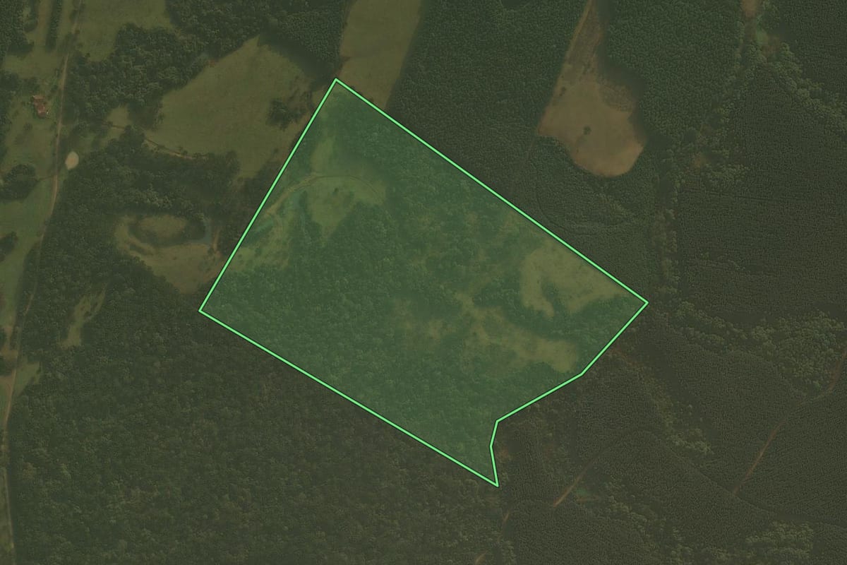 Imagem de satélite do imóvel rural em Palmeira (SC), com o contorno declarado no CAR desenhado por cima.