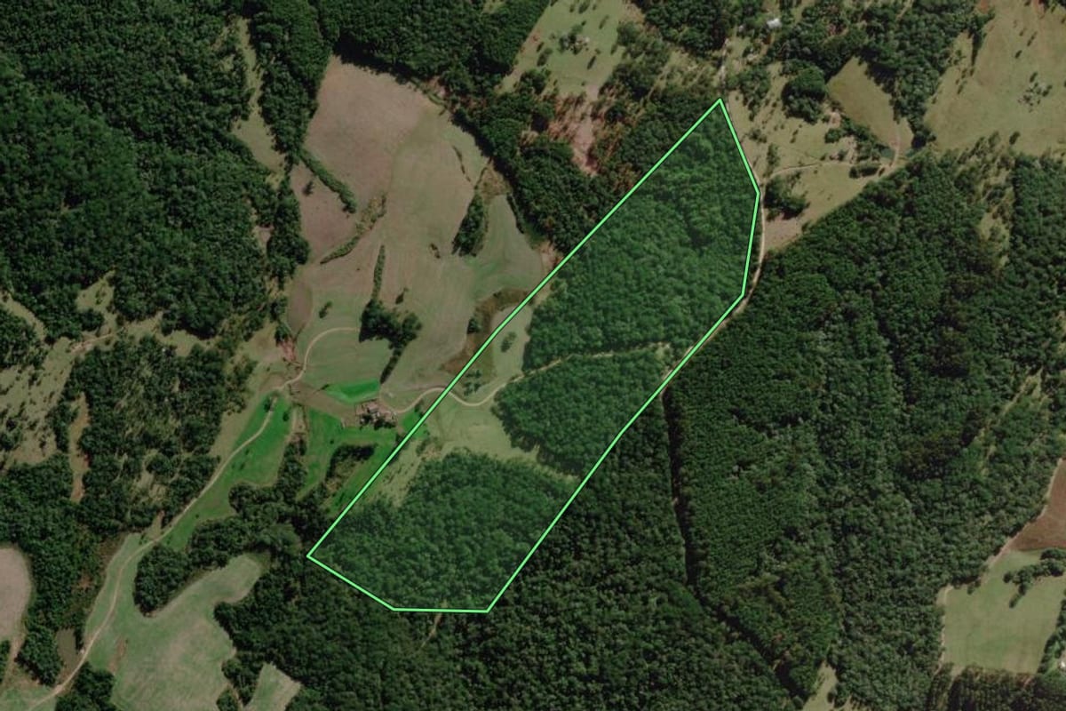 Imagem de satélite do imóvel rural em Palmeira (SC), com o contorno declarado no CAR desenhado por cima.