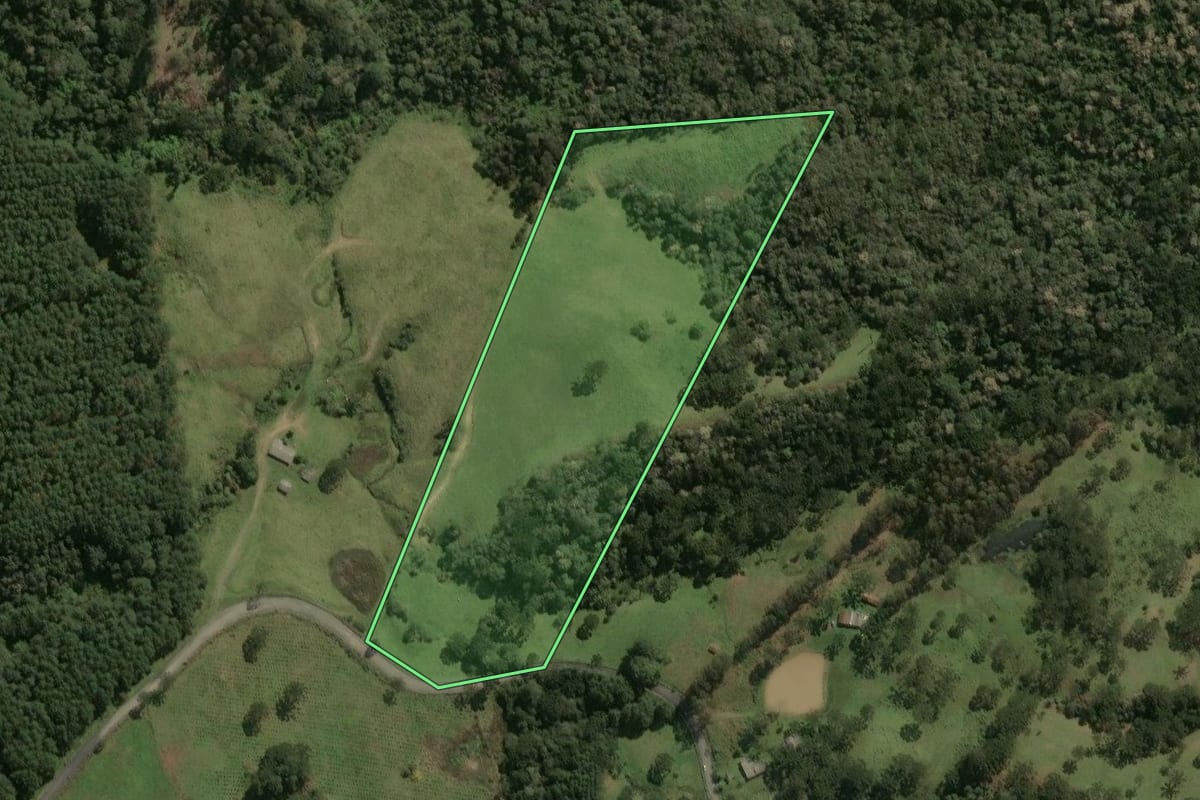 Imagem de satélite do imóvel rural em Palmeira (SC), com o contorno declarado no CAR desenhado por cima.