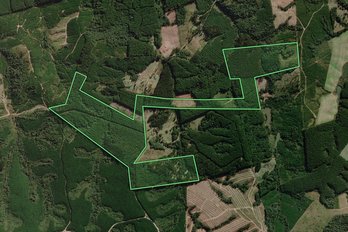 Imagem de satélite do imóvel rural em Palmeira (SC), com o contorno declarado no CAR desenhado por cima.