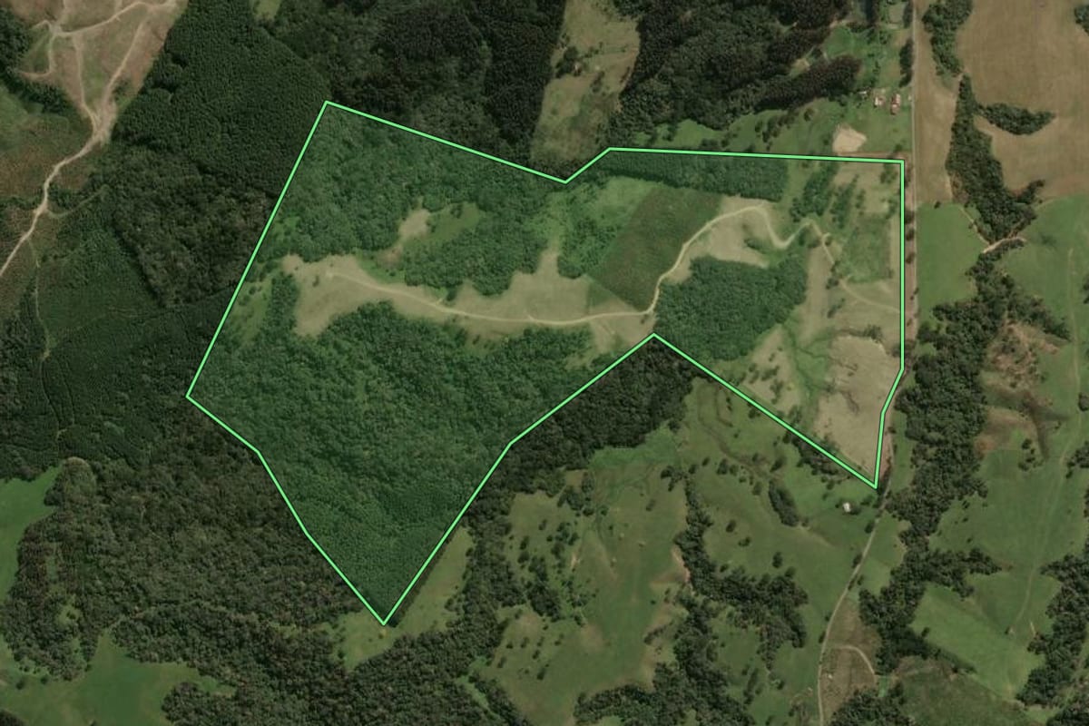 Imagem de satélite do imóvel rural em Palmeira (SC), com o contorno declarado no CAR desenhado por cima.