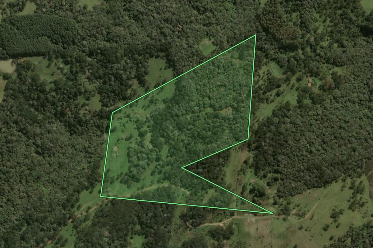 Imagem de satélite do imóvel rural em Palmeira (SC), com o contorno declarado no CAR desenhado por cima.