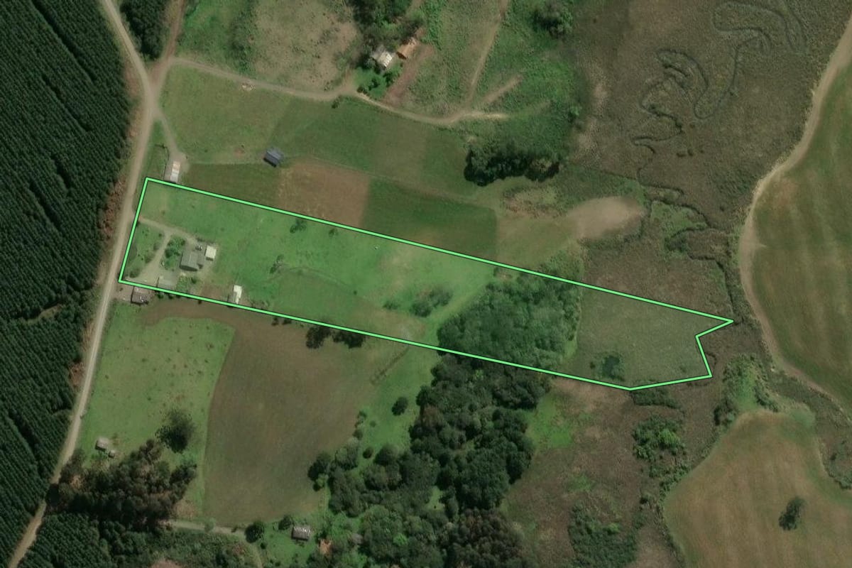 Imagem de satélite do imóvel rural em Palmeira (SC), com o contorno declarado no CAR desenhado por cima.