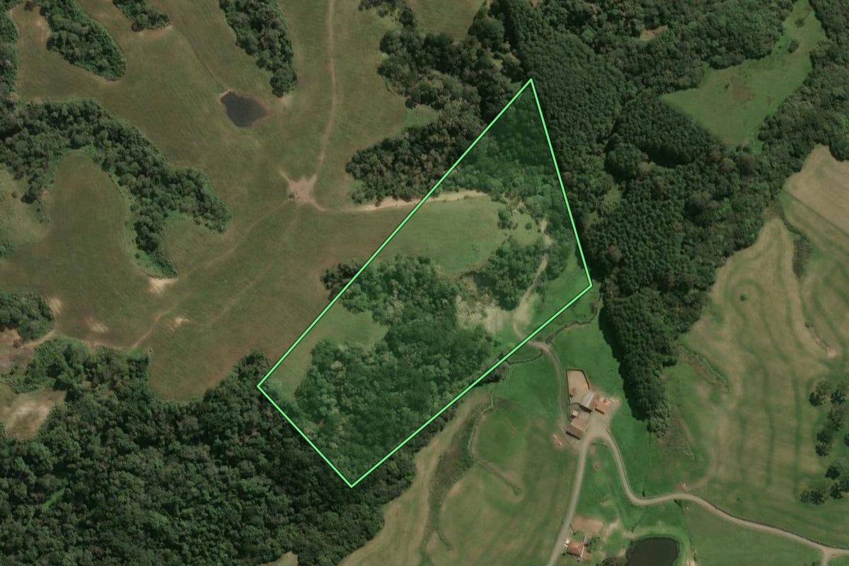 Imagem de satélite do imóvel rural em Palmeira (SC), com o contorno declarado no CAR desenhado por cima.