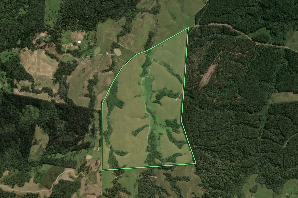 Imagem de satélite do imóvel rural em Palmeira (SC), com o contorno declarado no CAR desenhado por cima.
