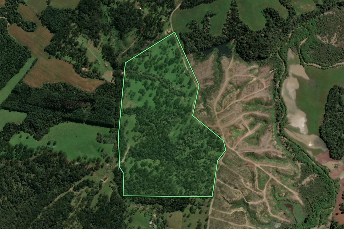 Imagem de satélite do imóvel rural em Palmeira (SC), com o contorno declarado no CAR desenhado por cima.