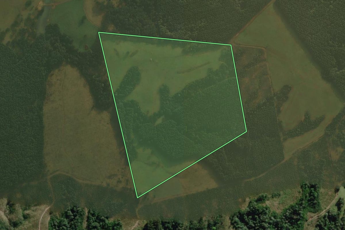Imagem de satélite do imóvel rural em Palmeira (SC), com o contorno declarado no CAR desenhado por cima.