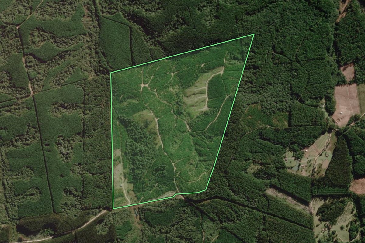 Imagem de satélite do imóvel rural em Palmeira (SC), com o contorno declarado no CAR desenhado por cima.