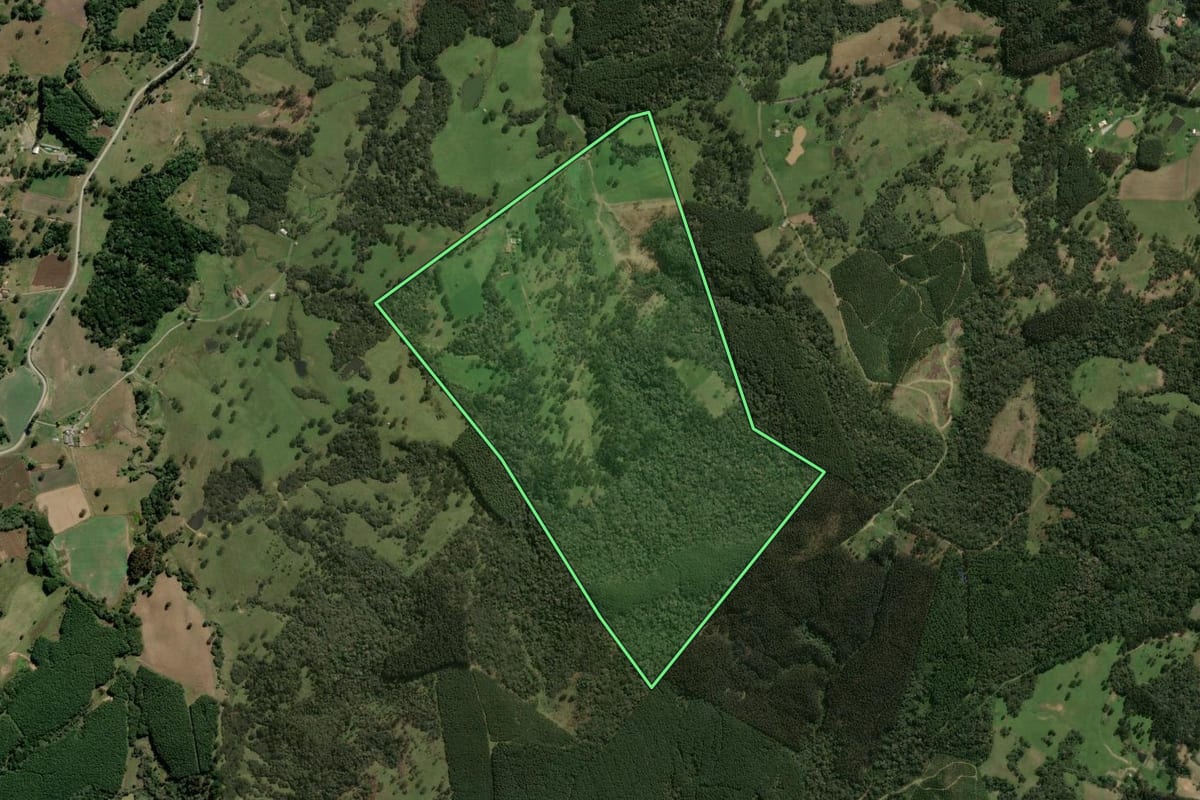 Imagem de satélite do imóvel rural em Palmeira (SC), com o contorno declarado no CAR desenhado por cima.