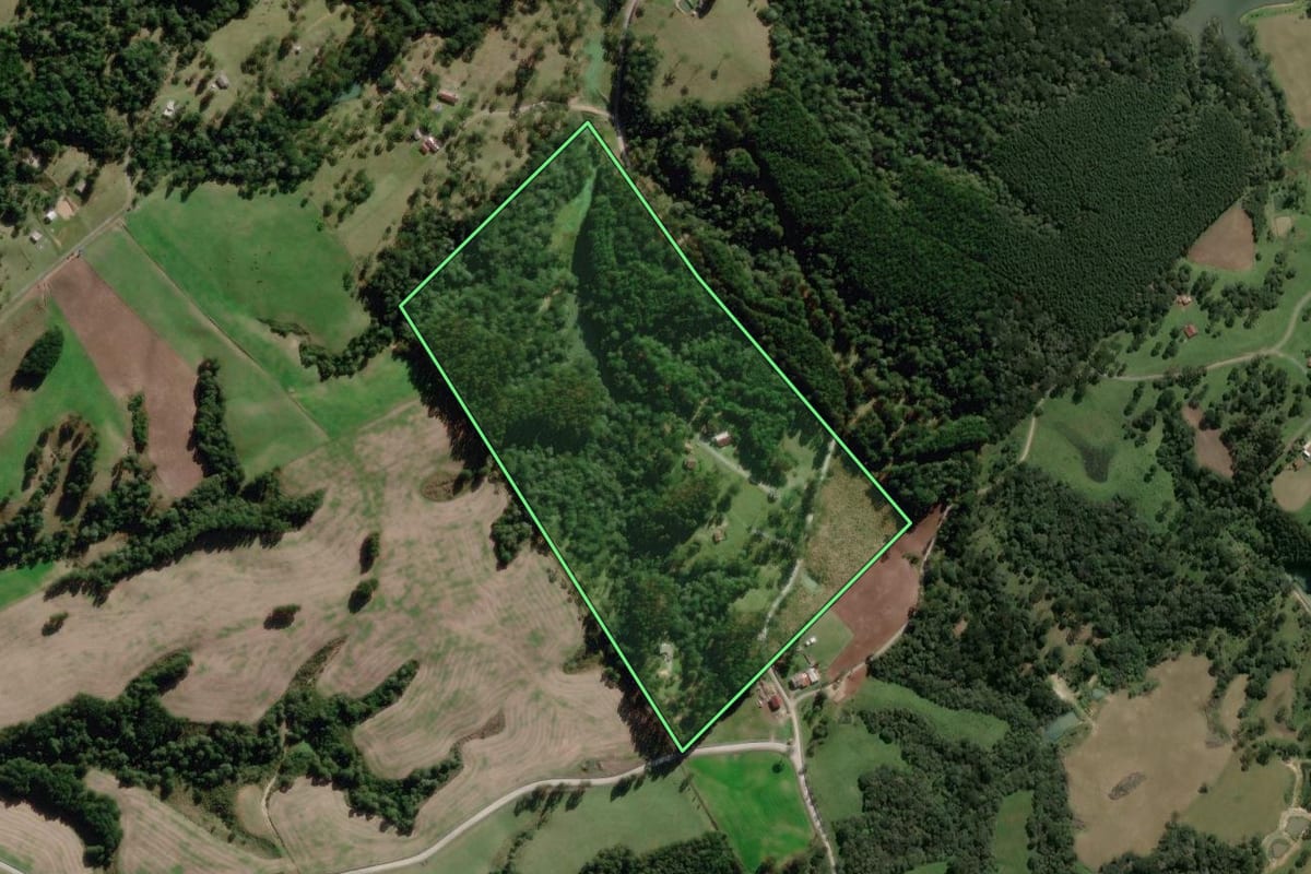 Imagem de satélite do imóvel rural em Palmeira (SC), com o contorno declarado no CAR desenhado por cima.