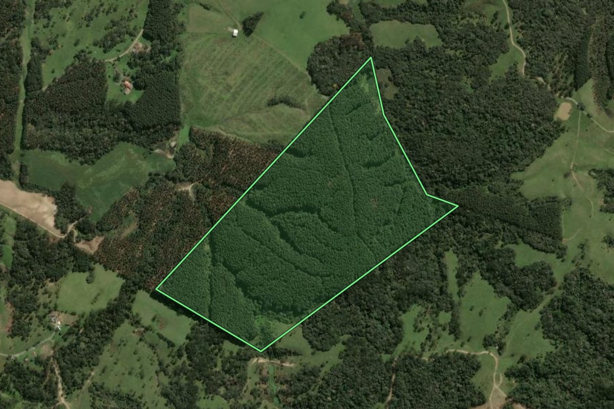 Imagem de satélite do imóvel rural em Palmeira (SC), com o contorno declarado no CAR desenhado por cima.
