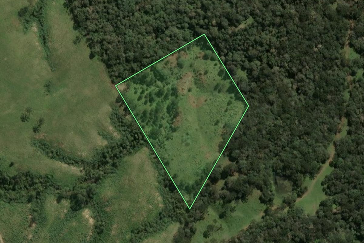 Imagem de satélite do imóvel rural em Palmeira (SC), com o contorno declarado no CAR desenhado por cima.