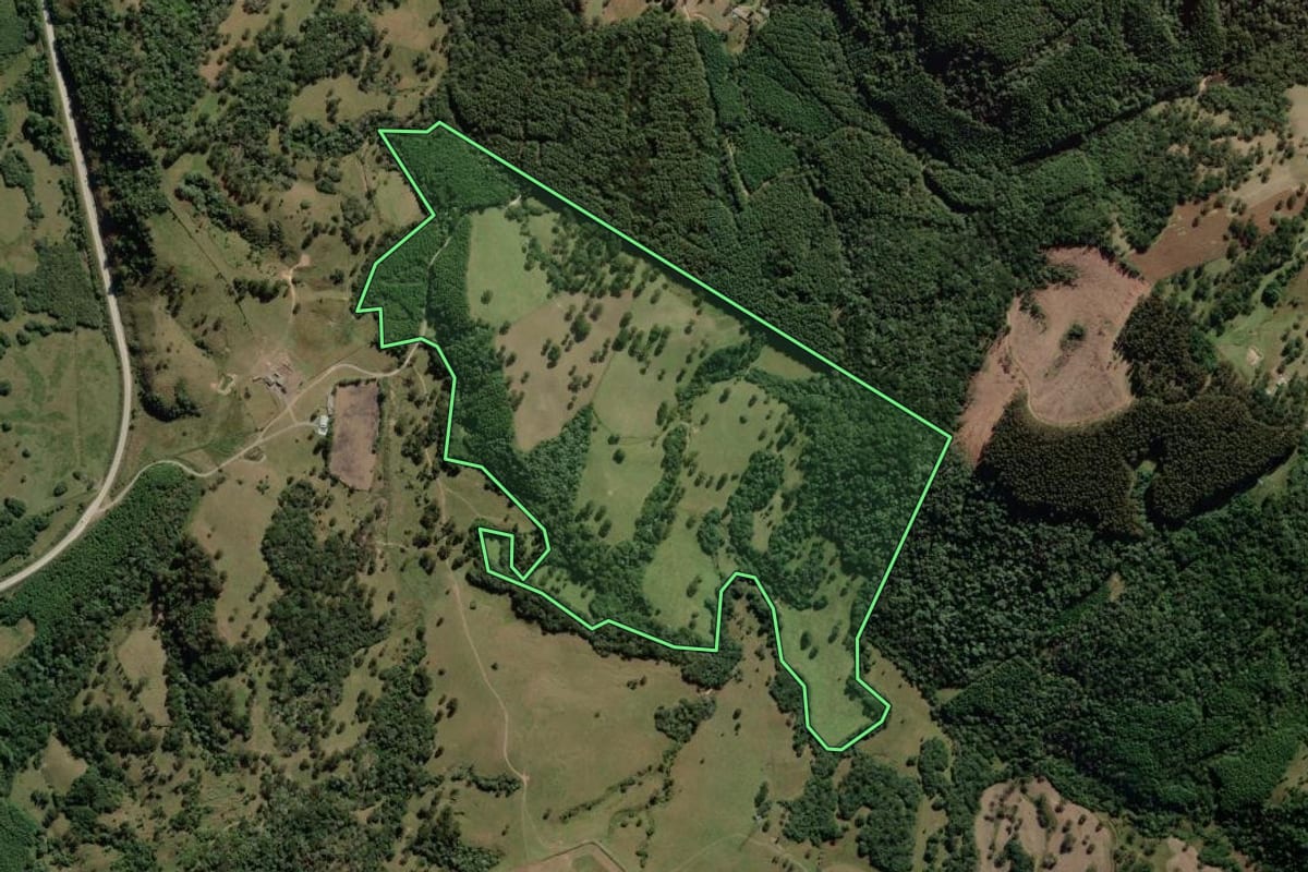 Imagem de satélite do imóvel rural em Palmeira (SC), com o contorno declarado no CAR desenhado por cima.