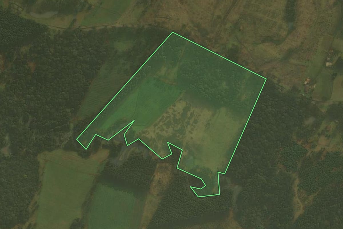 Imagem de satélite do imóvel rural em Palmeira (SC), com o contorno declarado no CAR desenhado por cima.