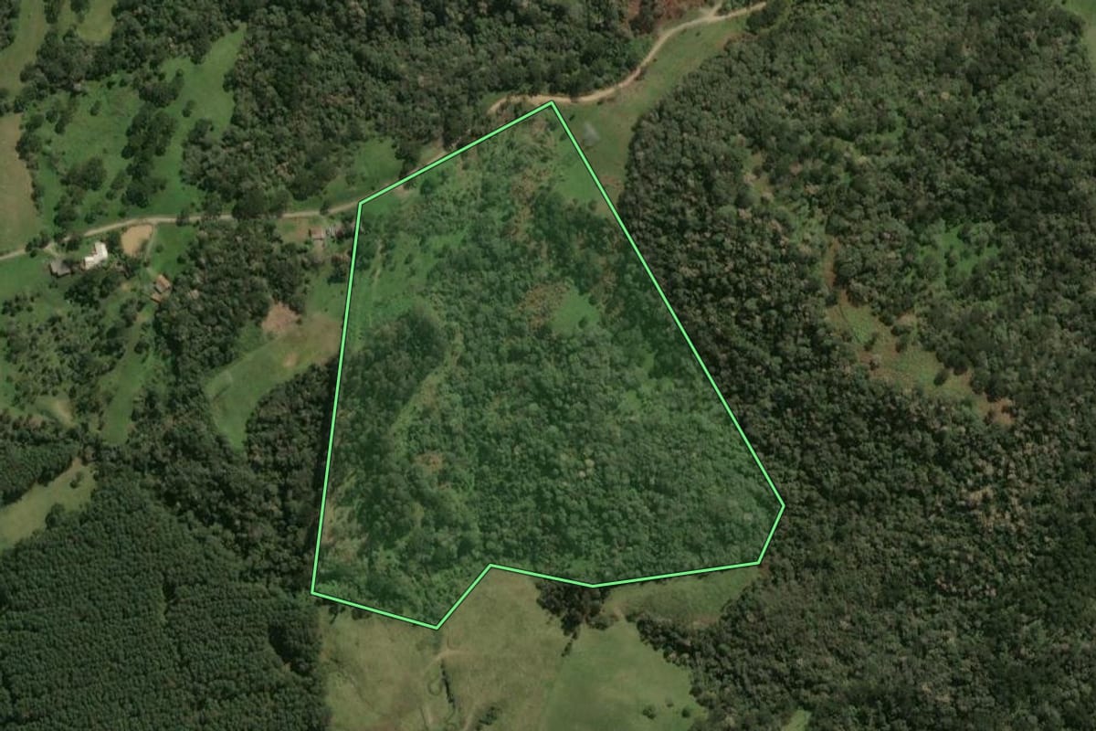 Imagem de satélite do imóvel rural em Palmeira (SC), com o contorno declarado no CAR desenhado por cima.