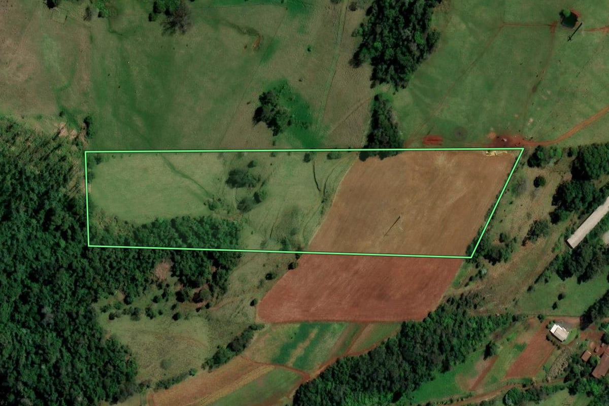 Imagem de satélite do imóvel rural em Palmitos (SC), com o contorno declarado no CAR desenhado por cima.