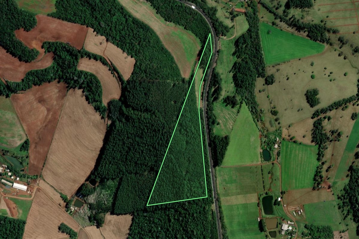 Imagem de satélite do imóvel rural em Palmitos (SC), com o contorno declarado no CAR desenhado por cima.