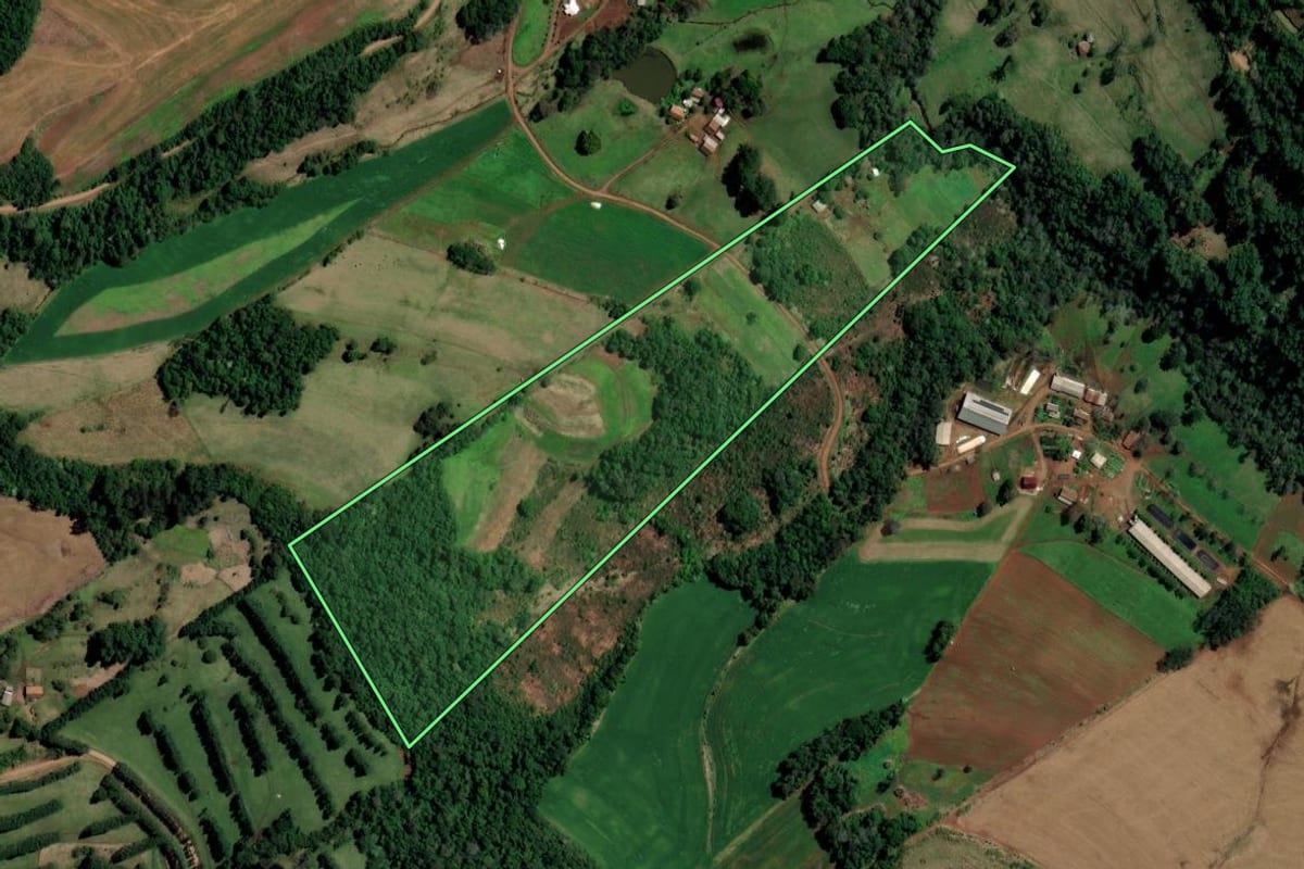 Imagem de satélite do imóvel rural em Palmitos (SC), com o contorno declarado no CAR desenhado por cima.