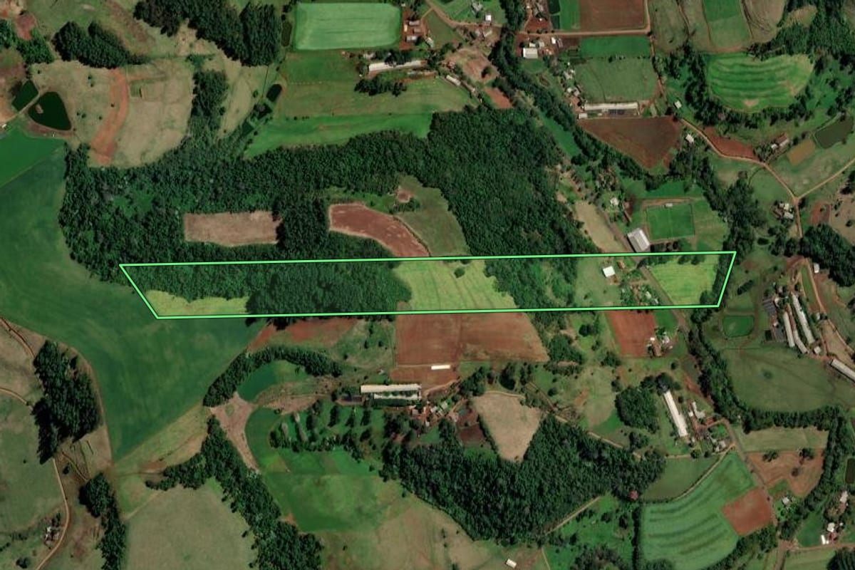Imagem de satélite do imóvel rural em Palmitos (SC), com o contorno declarado no CAR desenhado por cima.