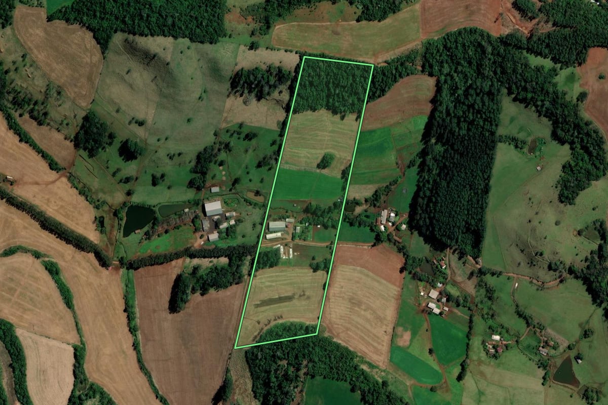 Imagem de satélite do imóvel rural em Palmitos (SC), com o contorno declarado no CAR desenhado por cima.