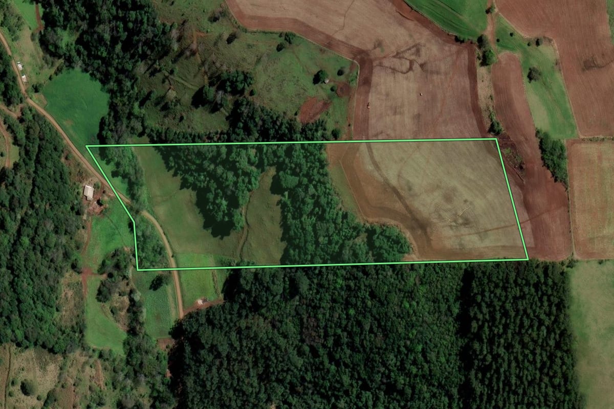 Imagem de satélite do imóvel rural em Palmitos (SC), com o contorno declarado no CAR desenhado por cima.