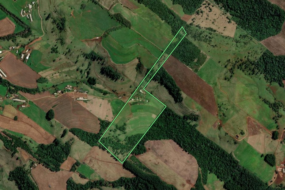 Imagem de satélite do imóvel rural em Palmitos (SC), com o contorno declarado no CAR desenhado por cima.