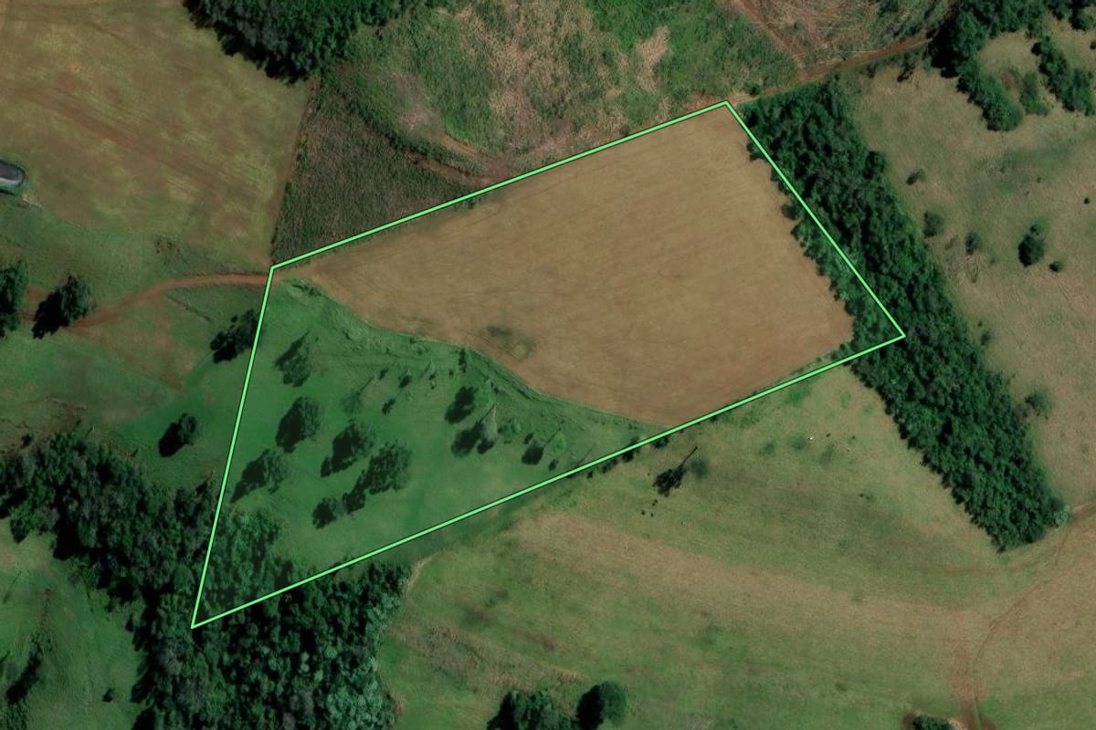 Imagem de satélite do imóvel rural em Palmitos (SC), com o contorno declarado no CAR desenhado por cima.
