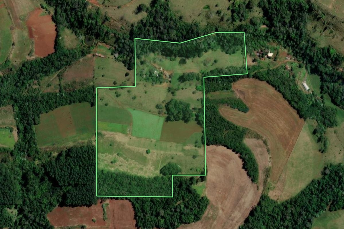 Imagem de satélite do imóvel rural em Palmitos (SC), com o contorno declarado no CAR desenhado por cima.