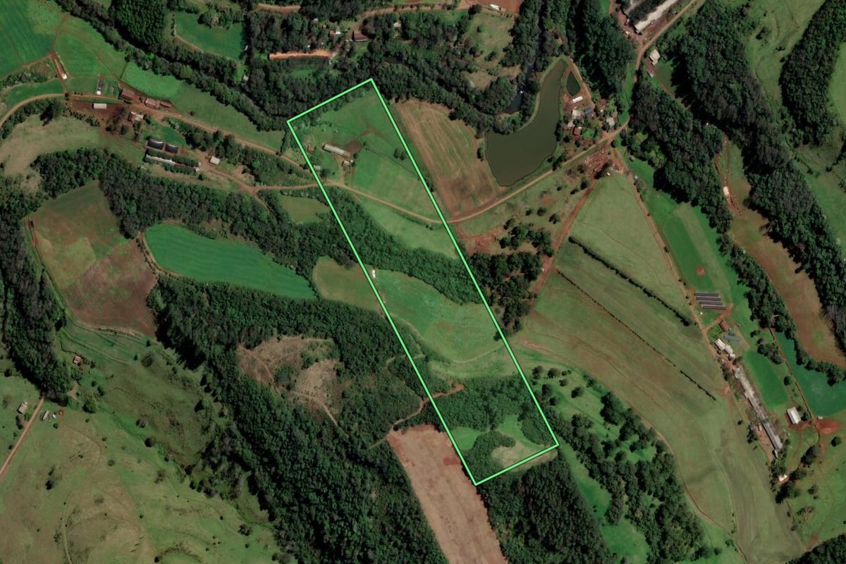 Imagem de satélite do imóvel rural em Palmitos (SC), com o contorno declarado no CAR desenhado por cima.
