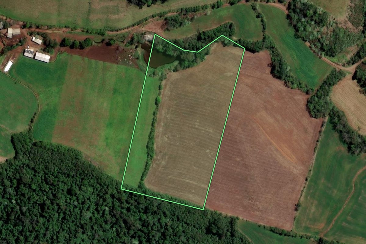 Imagem de satélite do imóvel rural em Palmitos (SC), com o contorno declarado no CAR desenhado por cima.