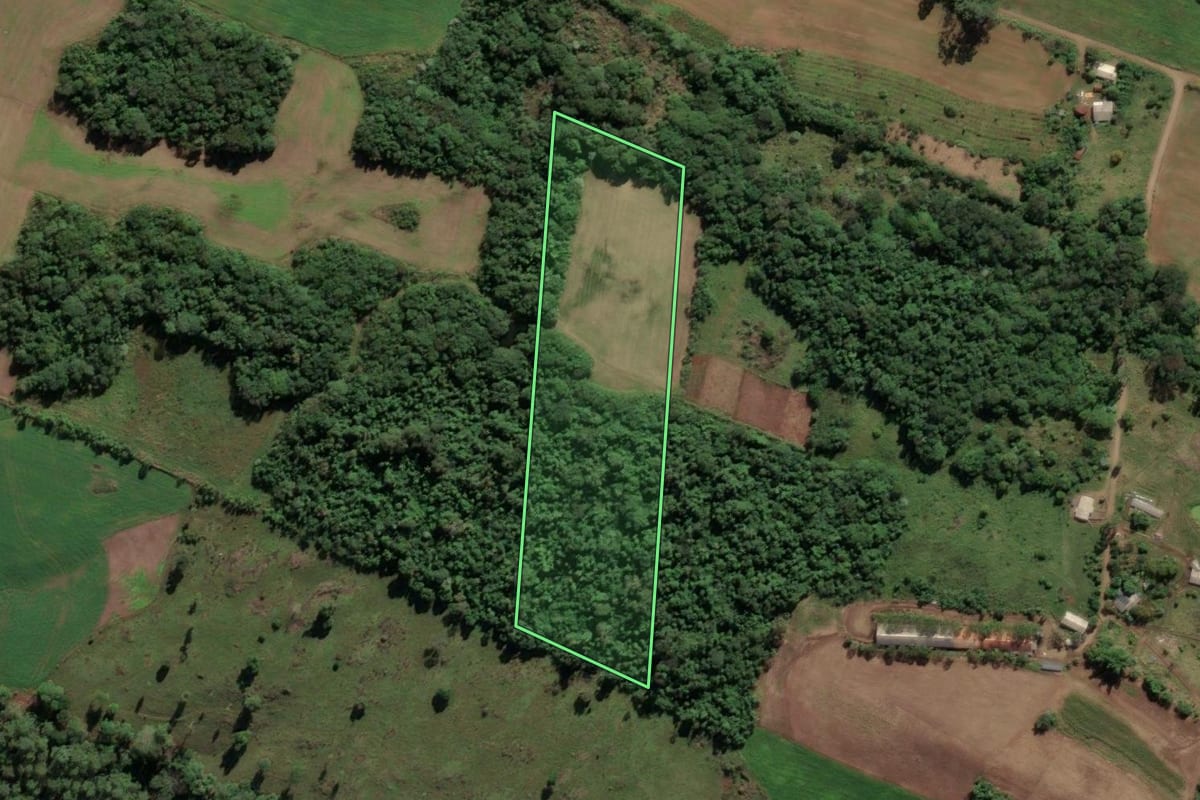 Imagem de satélite do imóvel rural em Palmitos (SC), com o contorno declarado no CAR desenhado por cima.