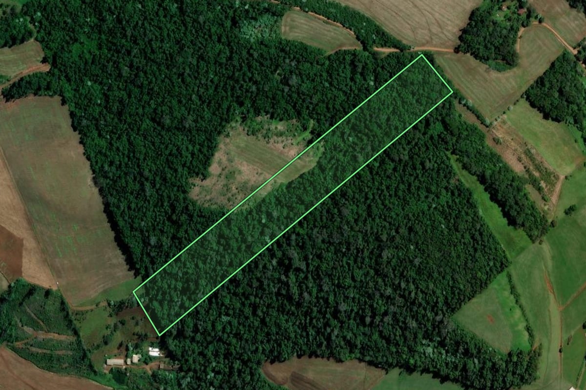 Imagem de satélite do imóvel rural em Palmitos (SC), com o contorno declarado no CAR desenhado por cima.
