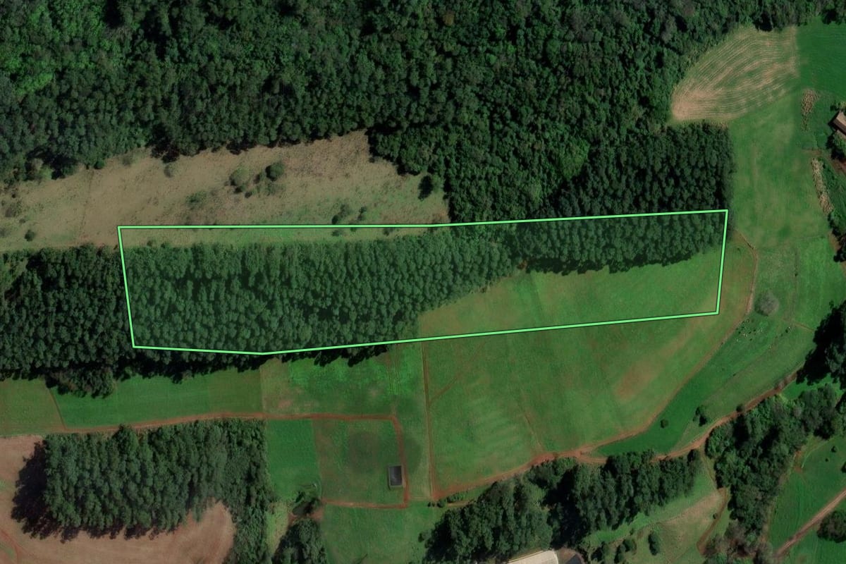 Imagem de satélite do imóvel rural em Palmitos (SC), com o contorno declarado no CAR desenhado por cima.