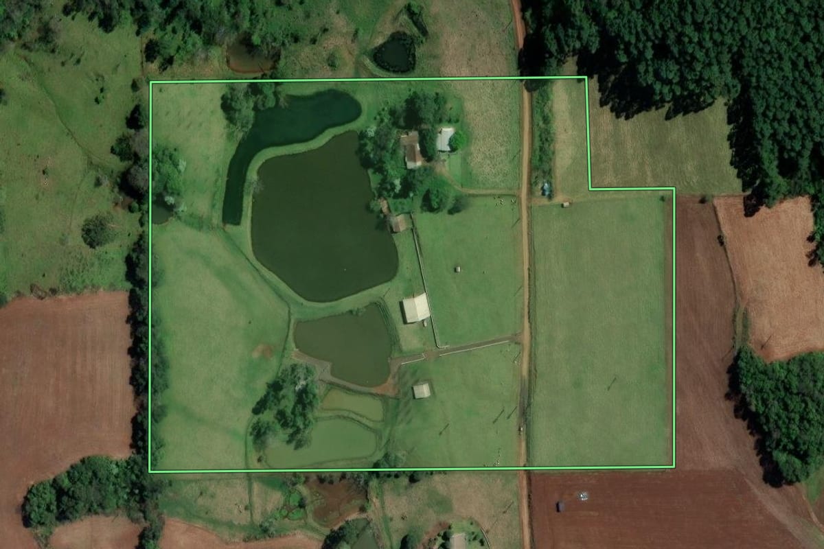 Imagem de satélite do imóvel rural em Palmitos (SC), com o contorno declarado no CAR desenhado por cima.